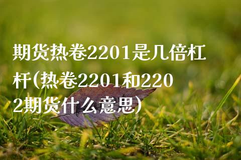 期货热卷2201是几倍杠杆(热卷2201和2202期货什么意思)