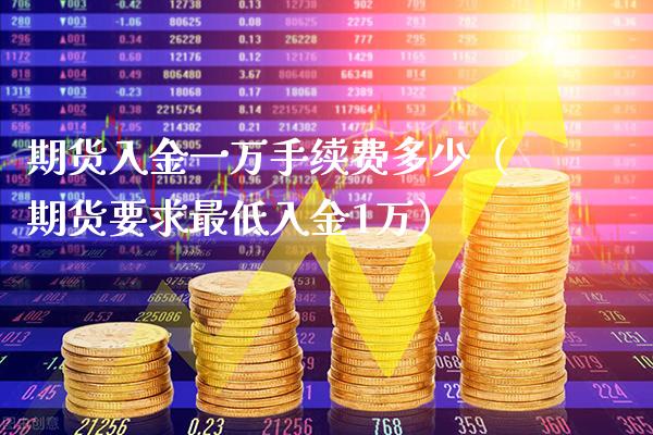 期货入金一万手续费多少（期货要求最低入金1万）