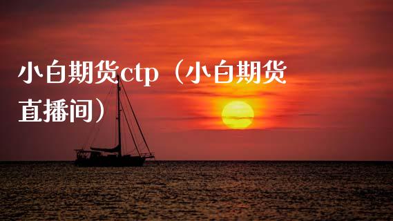 小白期货ctp（小白期货直播间）_https://www.boyangwujin.com_道指期货_第1张