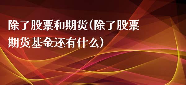 除了股票和期货(除了股票期货基金还有什么)_https://www.boyangwujin.com_纳指期货_第1张