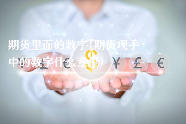 期货里面的数字(期货现手中的数字什么意思)