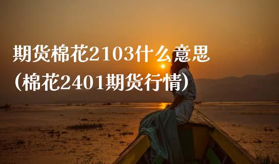 期货棉花2103什么意思(棉花2401期货行情)_https://www.boyangwujin.com_纳指期货_第1张