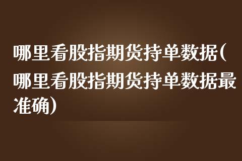 哪里看股指期货持单数据(哪里看股指期货持单数据最准确)