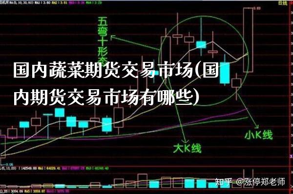 国内蔬菜期货交易市场(国内期货交易市场有哪些)_https://www.boyangwujin.com_期货直播间_第1张