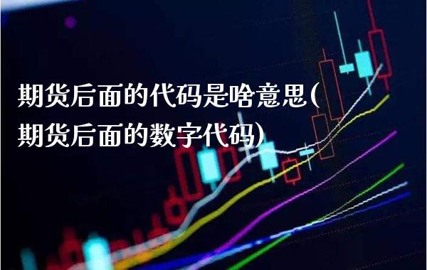 期货后面的代码是啥意思(期货后面的数字代码)_https://www.boyangwujin.com_黄金期货_第1张