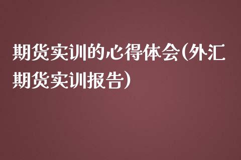 期货实训的心得体会(外汇期货实训报告)