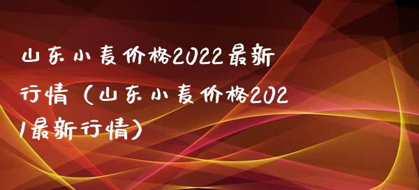 山东小麦价格2022最新行情（山东小麦价格2021最新行情）