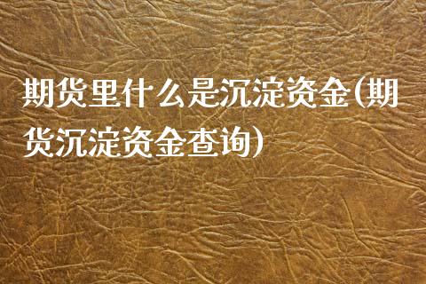 期货里什么是沉淀资金(期货沉淀资金查询)_https://www.boyangwujin.com_原油直播间_第1张