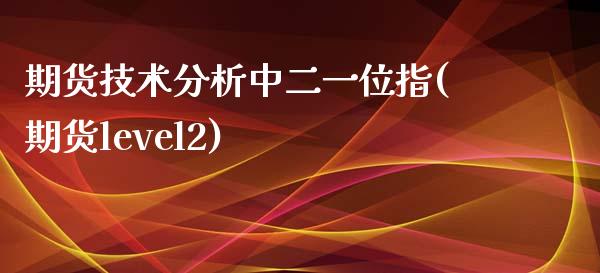 期货技术分析中二一位指(期货level2)