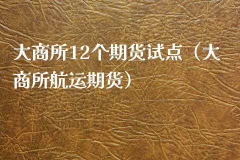 大商所12个期货试点（大商所航运期货）