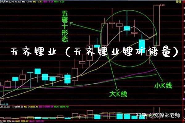 天齐锂业（天齐锂业锂矿储量）