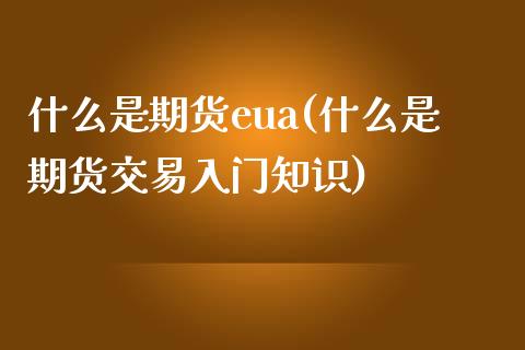 什么是期货eua(什么是期货交易入门知识)