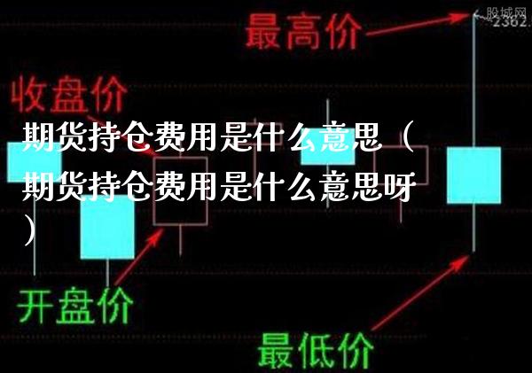 期货持仓费用是什么意思（期货持仓费用是什么意思呀）