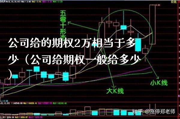 公司给的期权2万相当于多少（公司给期权一般给多少）