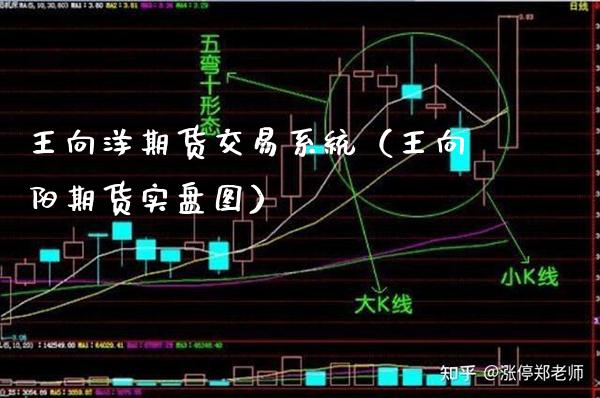 王向洋期货交易系统（王向阳期货实盘图）