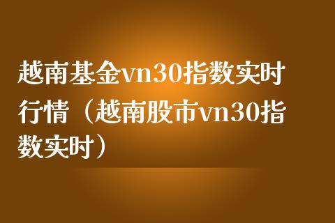 越南基金vn30指数实时行情（越南股市vn30指数实时）_https://www.boyangwujin.com_期货直播间_第1张