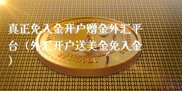 真正免入金开户赠金外汇平台（外汇开户送美金免入金）