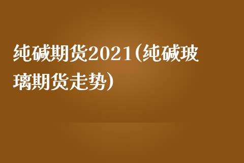 纯碱期货2021(纯碱玻璃期货走势)