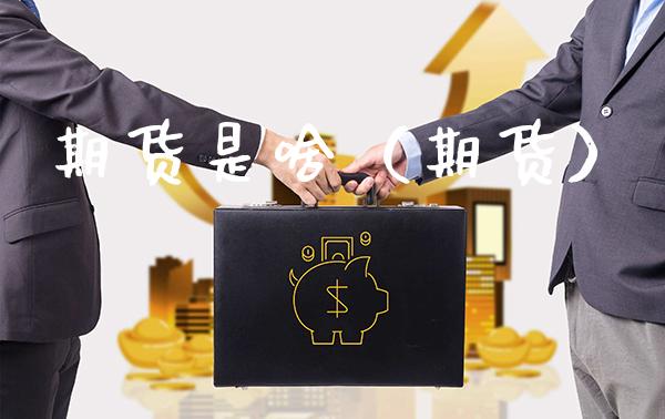 期货是啥（期货）_https://www.boyangwujin.com_黄金期货_第1张