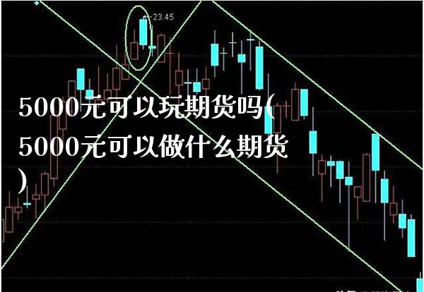 5000元可以玩期货吗(5000元可以做什么期货)