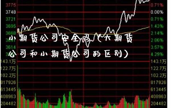 小期货公司安全吗（大期货公司和小期货公司的区别）