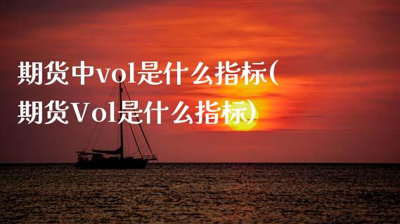 期货中vol是什么指标(期货Vol是什么指标)