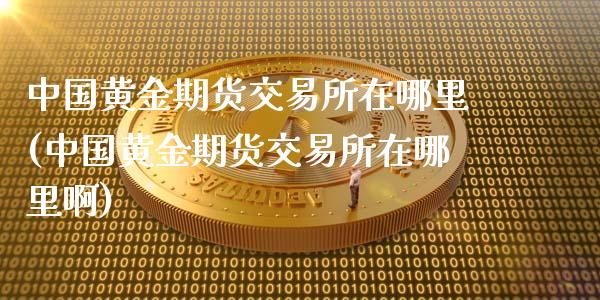 中国黄金期货交易所在哪里(中国黄金期货交易所在哪里啊)