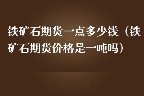 铁矿石期货一点多少钱（铁矿石期货价格是一吨吗）_https://www.boyangwujin.com_期货直播间_第1张