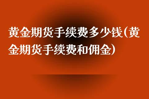 黄金期货手续费多少钱(黄金期货手续费和佣金)