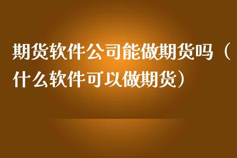 期货软件公司能做期货吗（什么软件可以做期货）