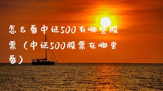 怎么看中证500有哪些股票（中证500股票在哪里看）