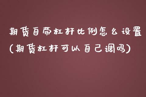 期货自带杠杆比例怎么设置(期货杠杆可以自己调吗)