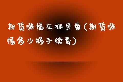 期货涨幅在哪里看(期货涨幅多少够手续费)