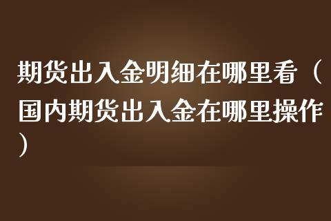 期货出入金明细在哪里看（国内期货出入金在哪里操作）