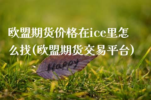 欧盟期货价格在ice里怎么找(欧盟期货交易平台)