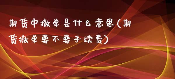 期货中撤单是什么意思(期货撤单要不要手续费)_https://www.boyangwujin.com_道指期货_第1张