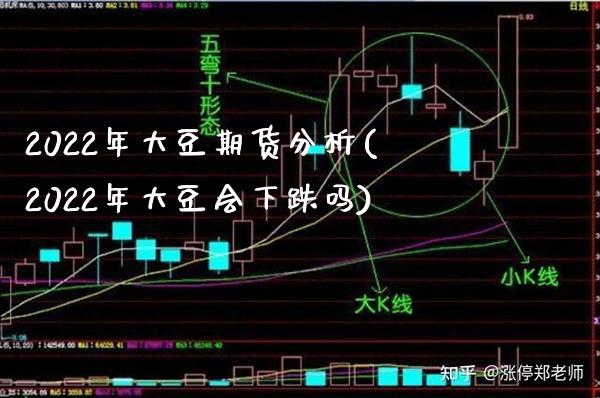 2022年大豆期货分析(2022年大豆会下跌吗)