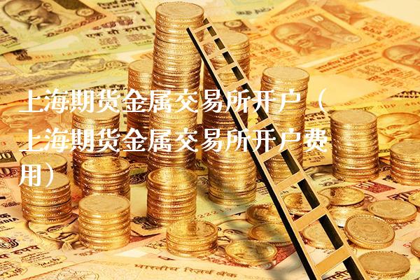 上海期货金属交易所开户（上海期货金属交易所开户费用）_https://www.boyangwujin.com_期货直播间_第1张