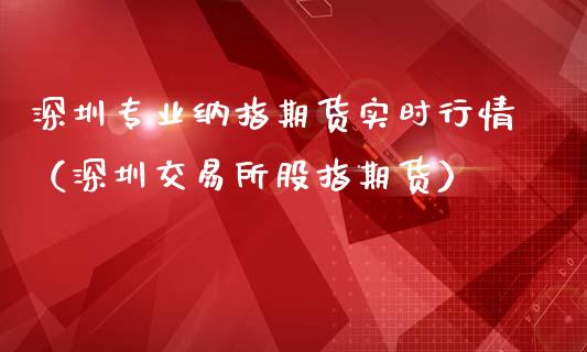 深圳专业纳指期货实时行情（深圳交易所股指期货）