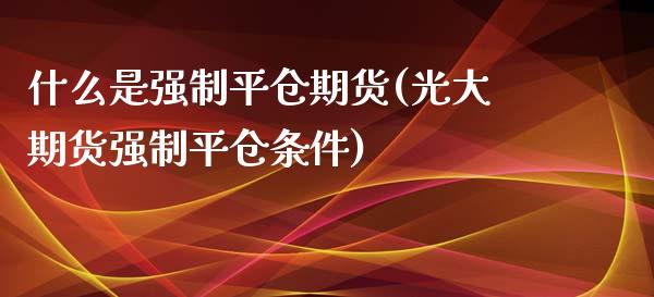 什么是强制平仓期货(光大期货强制平仓条件)