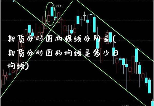 期货分时图两根线分别是(期货分时图的均线是多少日均线)_https://www.boyangwujin.com_黄金直播间_第1张