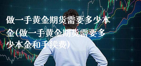 做一手黄金期货需要多少本金(做一手黄金期货需要多少本金和手续费)