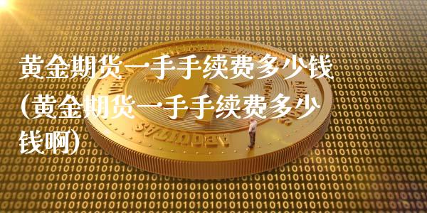 黄金期货一手手续费多少钱(黄金期货一手手续费多少钱啊)