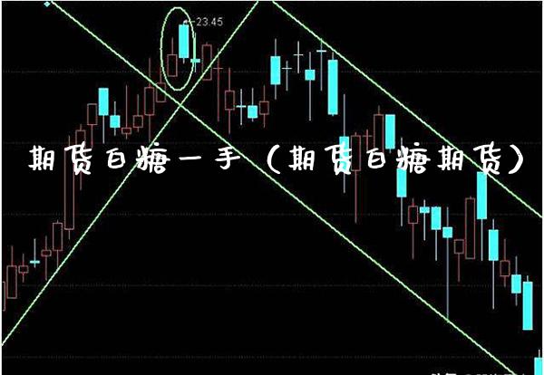 期货白糖一手（期货白糖期货）