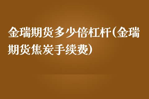 金瑞期货多少倍杠杆(金瑞期货焦炭手续费)