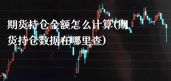 期货持仓金额怎么计算(期货持仓数据在哪里查)