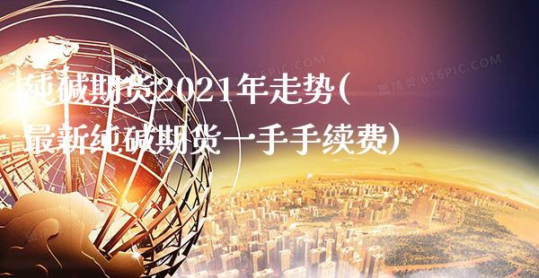 纯碱期货2021年走势(最新纯碱期货一手手续费)