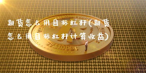 期货怎么用目标杠杆(期货怎么用目标杠杆计算收益)_https://www.boyangwujin.com_黄金期货_第1张