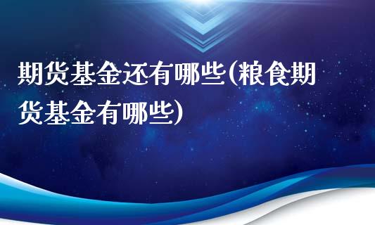 期货基金还有哪些(粮食期货基金有哪些)_https://www.boyangwujin.com_期货直播间_第1张