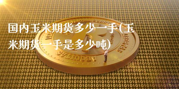 国内玉米期货多少一手(玉米期货一手是多少吨)